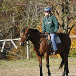 horselovers