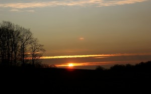 IMG_2714