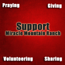 SupportMMR11
