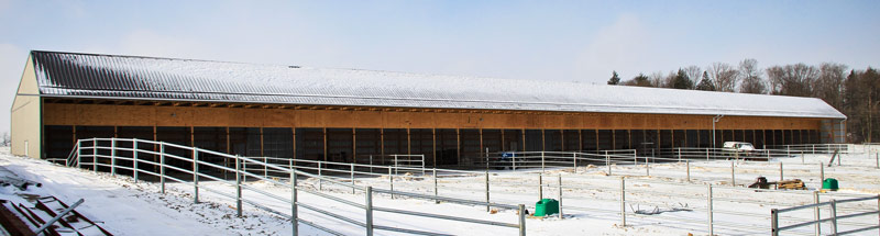 New Livery Shed Barn