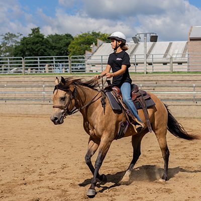 western riding horse photography