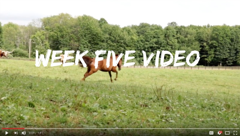 Week Five Summer Camp Video