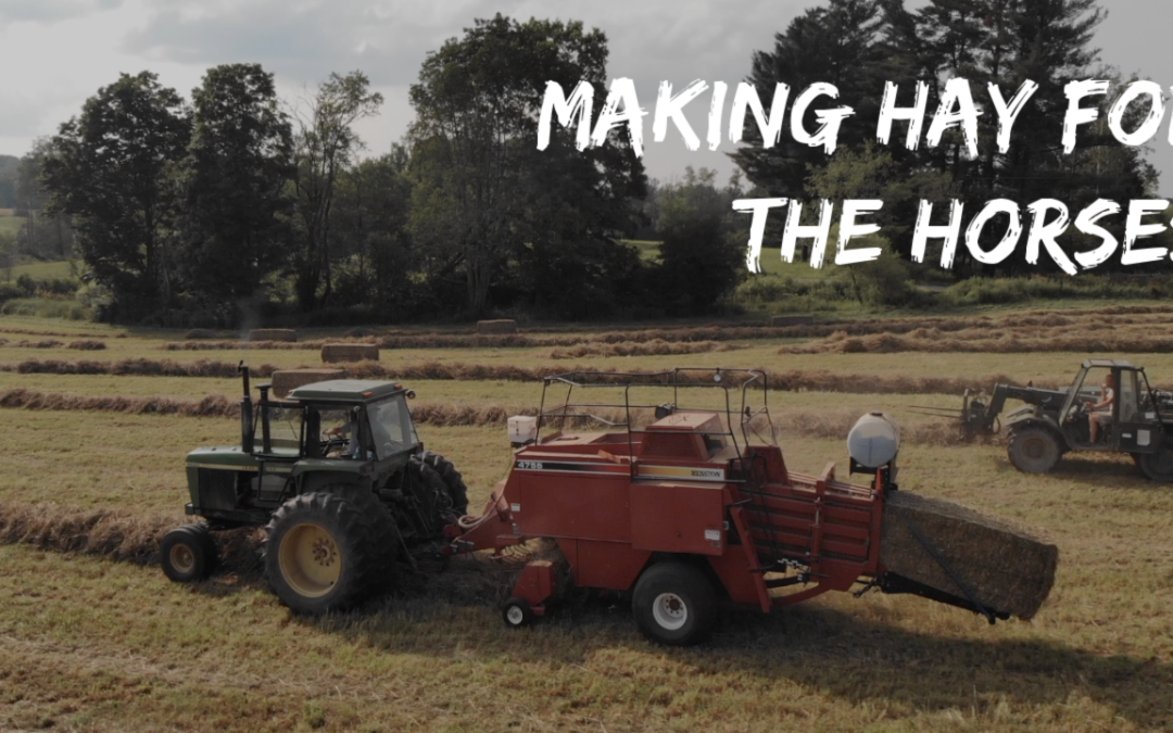 Making Hay for the Ranch