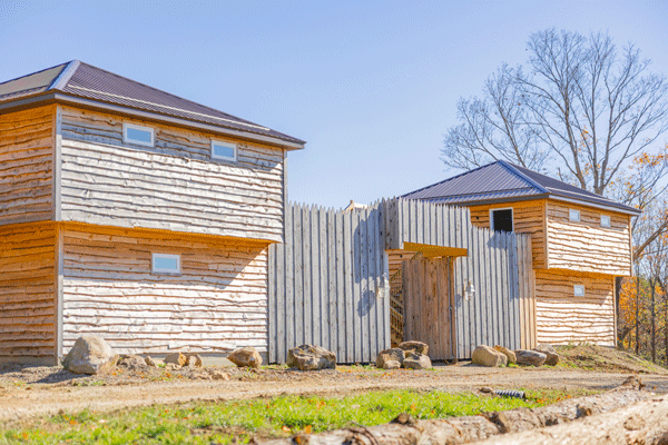 Progress Report | Donnie Rosie | November 2025